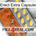 Erect Extra Capsule 42